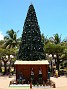 11- Le sapin de Noel de la place des cocotiers